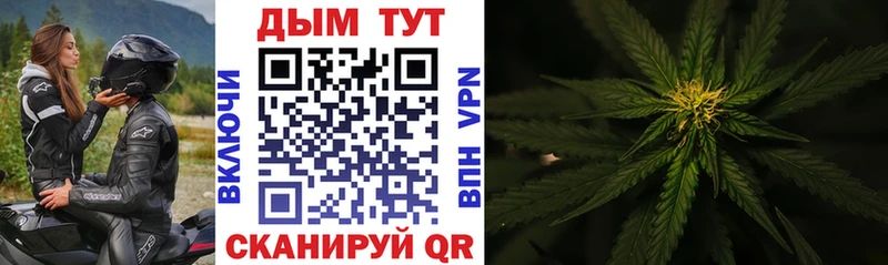 Купить наркоту Сенгилей COCAIN АМФЕТАМИН Бошки Шишки