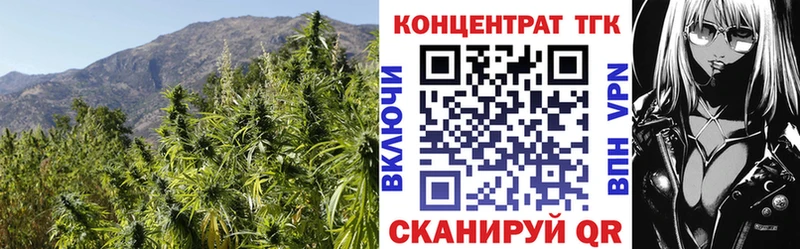 Дистиллят ТГК Wax  кракен как войти  Сенгилей  где купить наркоту 