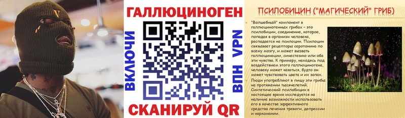 закладка Сенгилей Псилоцибиновые грибы мицелий
